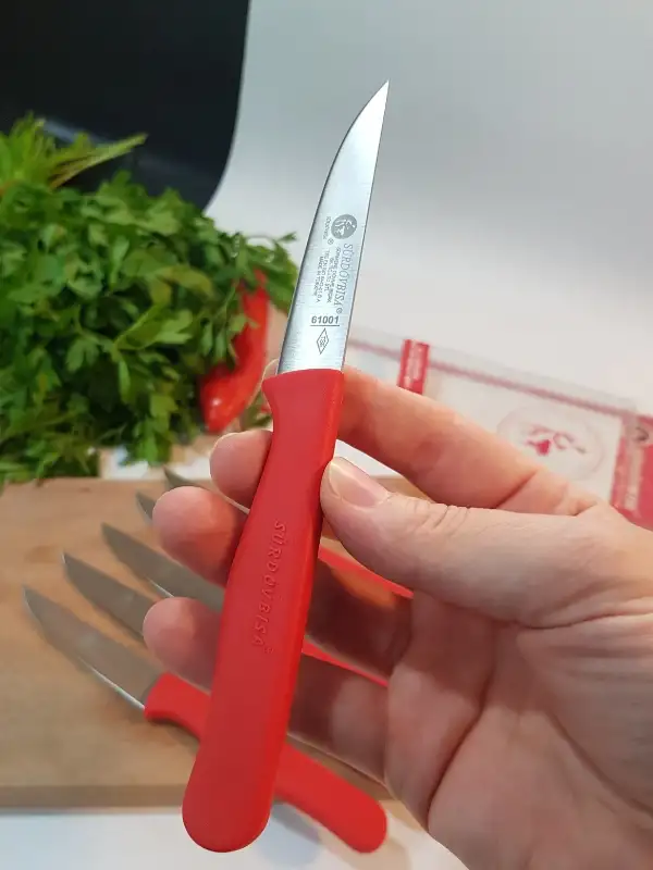 Sürdövbisa 61010 6lı Meyve Seti (Sivri Uç ) Kırmızı