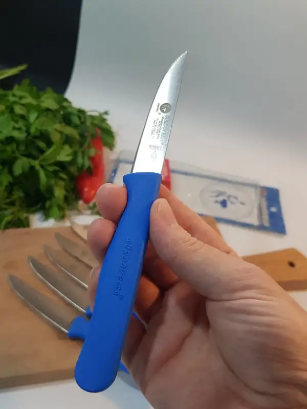 Sürdövbisa 61010 6lı Meyve Seti (Sivri Uç ) Mavi