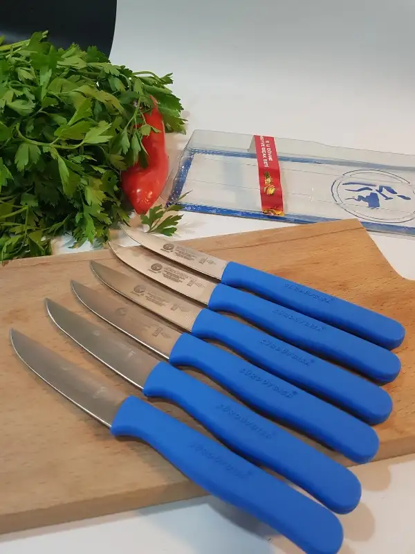 Sürdövbisa 61010 6lı Meyve Seti (Sivri Uç ) Mavi