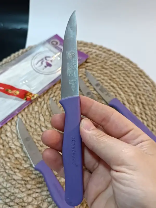 Sürdövbisa 61010 6lı Meyve Seti (Sivri Uç ) Mor