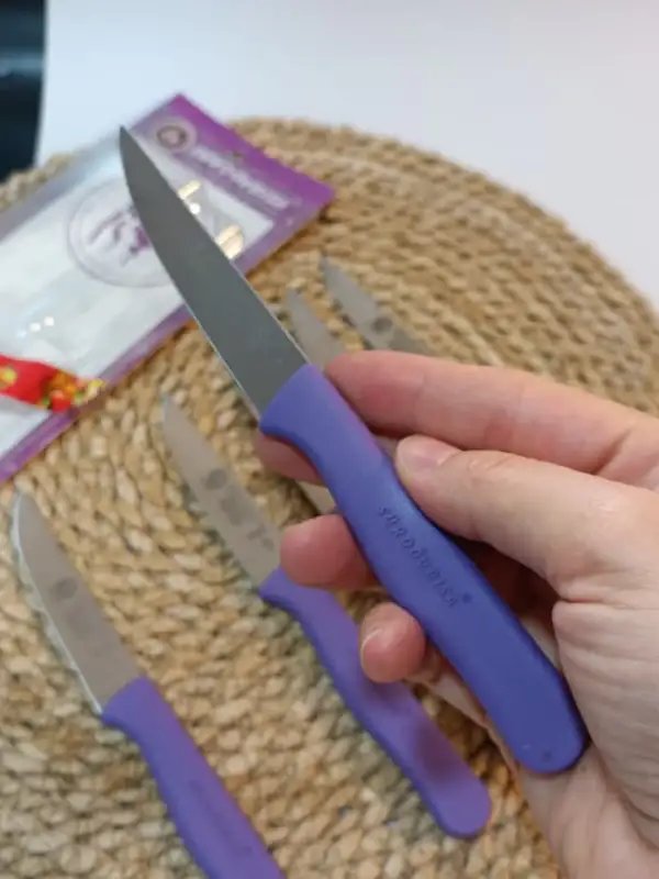 Sürdövbisa 61010 6lı Meyve Seti (Sivri Uç ) Mor