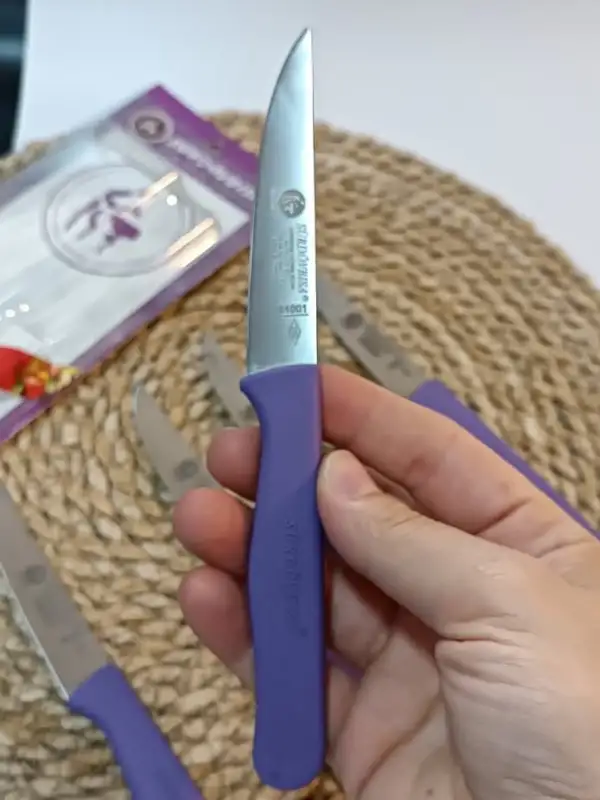 Sürdövbisa 61010 6lı Meyve Seti (Sivri Uç ) Mor