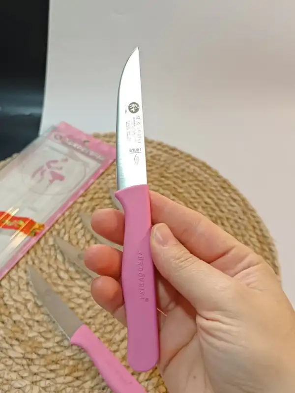 Sürdövbisa 61010 6lı Meyve Seti (Sivri Uç ) Pembe