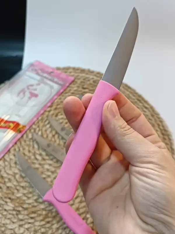 Sürdövbisa 61010 6lı Meyve Seti (Sivri Uç ) Pembe