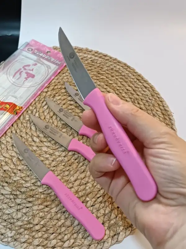 Sürdövbisa 61010 6lı Meyve Seti (Sivri Uç ) Pembe