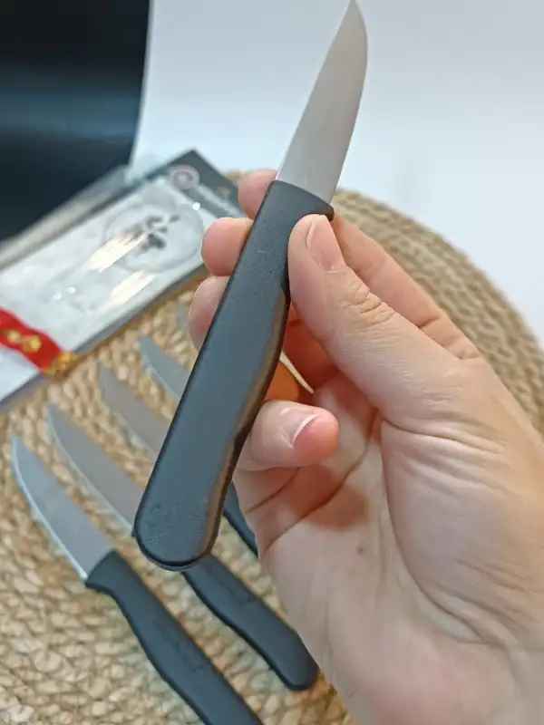 Sürdövbisa 61010 6lı Meyve Seti (Sivri Uç ) Siyah