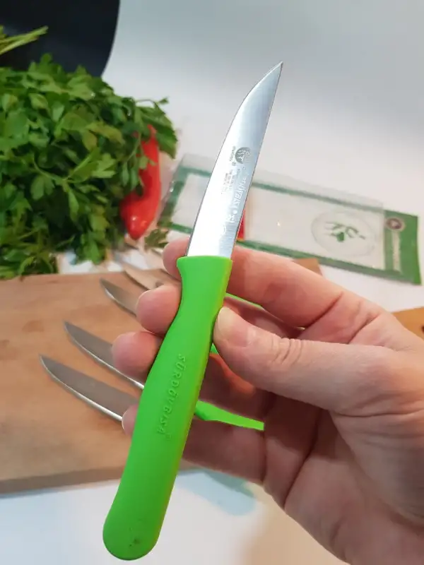 Sürdövbisa 61010 6lı Meyve Seti (Sivri Uç ) Yeşil