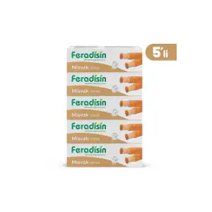 5li Paket - Misvak Özlü Doğal Florürsüz Beyazlatıcı Diş Macunu 90 gr - Gimdes Helal Sertifikalı