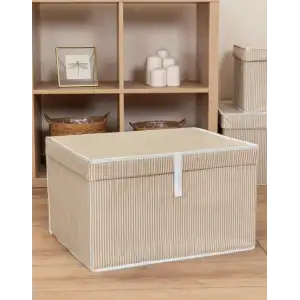 Alas Home Çok Amaçlı Kutu Maxi 50*40*30 07189