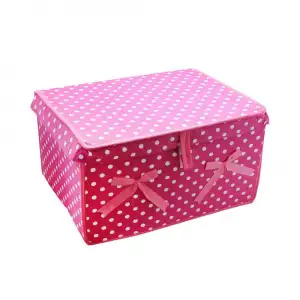 Alas Home Çok Amaçlı Kutu Mini 40*30*26 7651