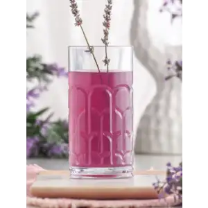 Archie 4lü Meşrubat Bardağı - Şeffaf - 370 ml