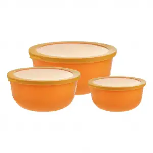 Ayza Yuvarlak Saklama Kabı 3 Lü 593