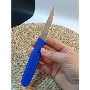 Chefsun Sebze / Meyve Bıçağı  1 Adet Mavi