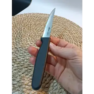 Chefsun Sebze / Meyve Bıçağı 1 Adet Siyah