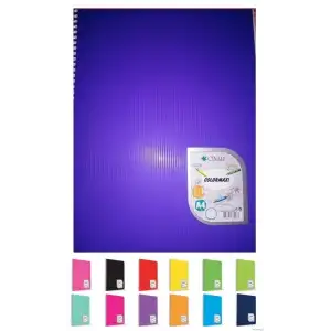 Çınar Colormaxi Pp Spiralli Defter 60 Yp. Çizgili A4 73013