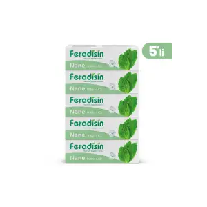 Gimdes Helal Sertifikalı Nane Ferahlığı Diş Macunu 5 li Set