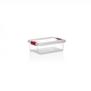 Organizers Fresh Clınk Saklama Kabı 0,8 Lt Org-461