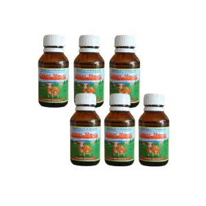 Peynir Mayası 100gr ( 6adet)