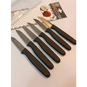 Sürbisa Meyve Takımı (6lı) 61007 7.0 cm