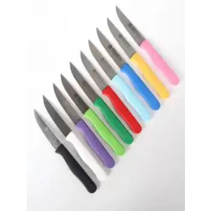 Sürdövbisa 61001 Meyve Bıçağı