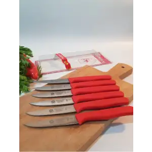 Sürdövbisa 61010 6lı Meyve Seti (Sivri Uç ) Kırmızı