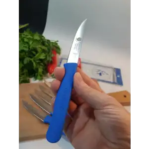 Sürdövbisa 61010 6lı Meyve Seti (Sivri Uç ) Mavi