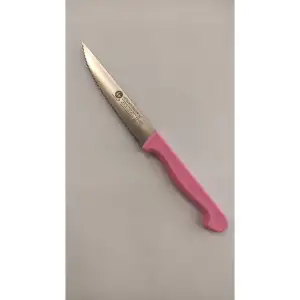 Sürdövbısa 61112 Lazer Kesim Tırtıklı Sebze Bıçağı Pembe