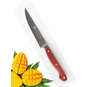 Sürdövbisa E61002 Ahşap Sap Sebze Bıçağı