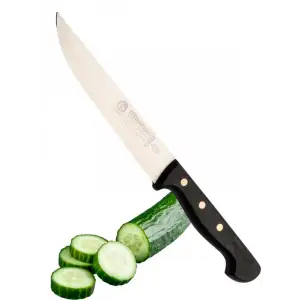 Sürdövbisa F61004 Plastik Pimli Sap Mutfak Bıçağı