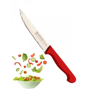 Sürdövbisa F61112 Plastik Pimsiz Sap Lazer Sebze Bıçağı (Siyah sap)