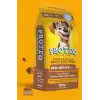 Proteo Premium Biftekli Yetişkin Köpek Maması 15 Kg – Tüm Irklar İçin Tam & Dengeli