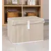Alas Home Çok Amaçlı Kutu Mini 40*30*26 07196