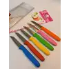 Çaylaravm Sürbısa 061007 Meyve Bıçağı 6 Lı Set Çok Renkli