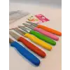 Çaylaravm Sürbısa 061007 Meyve Bıçağı 6 Lı Set Çok Renkli