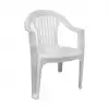 Daystone Gardenya Kollu Sandalye Eko Beyaz (milas)