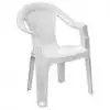 Daystone Gardenya Kollu Sandalye Eko Beyaz (milas)
