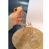 Herevin 1 Lt Boğumlu Desenli Cam Su Şişesi