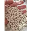 Şeker Fasulyesi 2 kg Türkiyenin En Lezzetli ve En Hızlı Pişen Fasulyesi Sofranızda