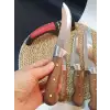 Ahşap Kasap Kurban Bıçak Seti Et Sebze Yüzme Sıyırma Bıçak Mutfak Bıçağı 4lü + Bileyici