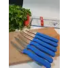 Sürdövbisa 61010 6lı Meyve Seti (Sivri Uç ) Mavi
