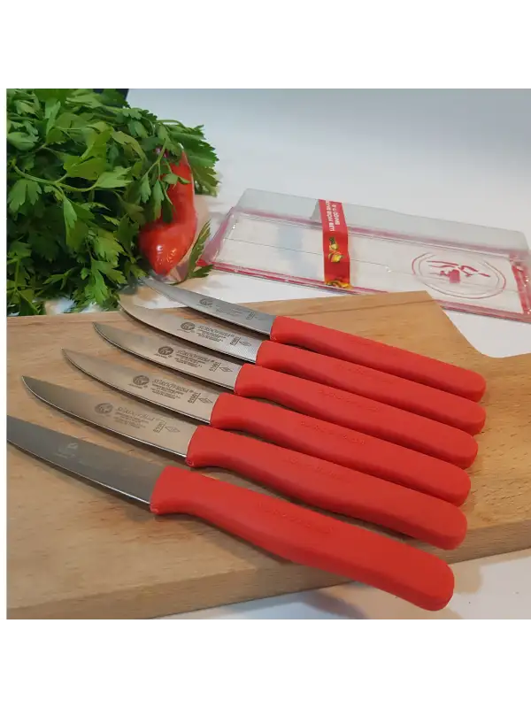 61010 6lı Meyve Seti 61001