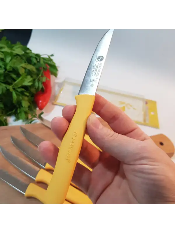 61010 6lı Meyve Seti