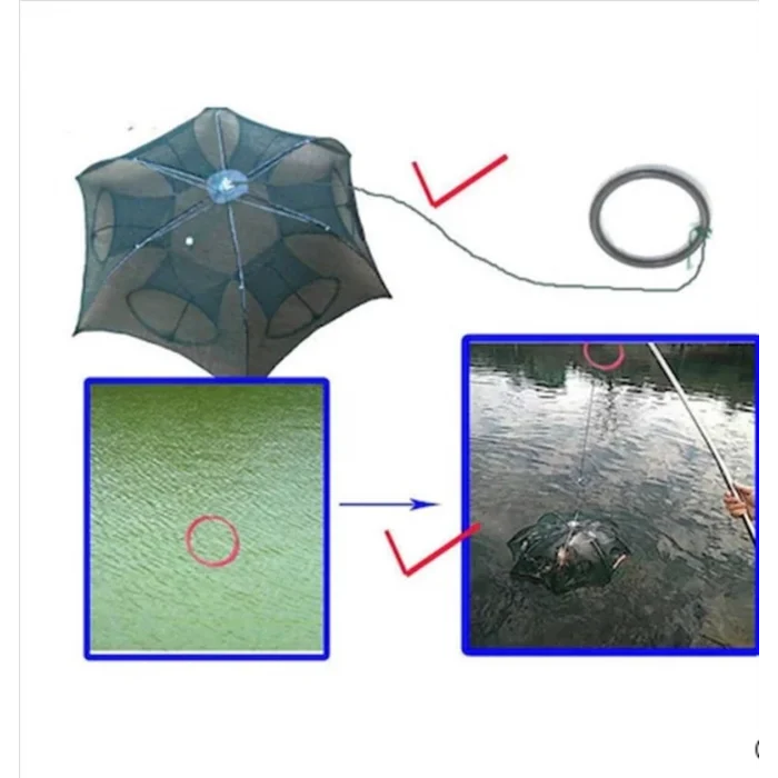 Bauer Şemsiye Model Pinter 8 Bölmeli Balık Yakalama Sepeti