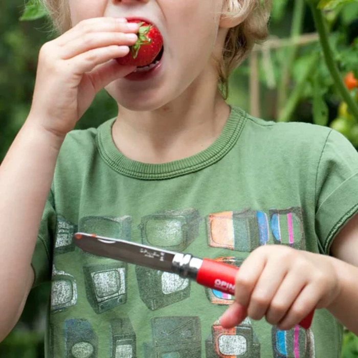 Opinel Inox No 7 Paslanmaz Çelik Çakı (Kırmızı)