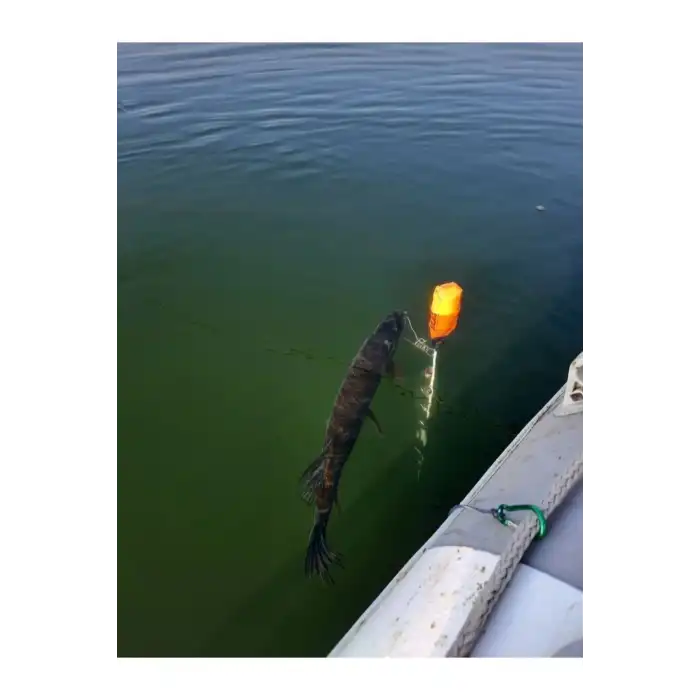 Camorex Balık Askısı 5 Klipsli Balık Kıtkası