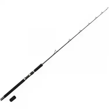 Ron Thompson Iconic Salt 1.83M 8-12LBS 2 Parça Kamış