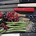 Opinel N°125 Bon Appetit Sofra Bıçağı