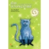 Bay Uzunçizme; Üç Büyülü Kedi Öyküsü