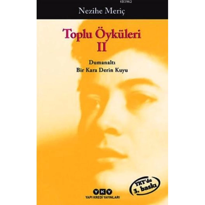 Toplu Öyküleri 2; Bütün Yapıtlarına Doğru