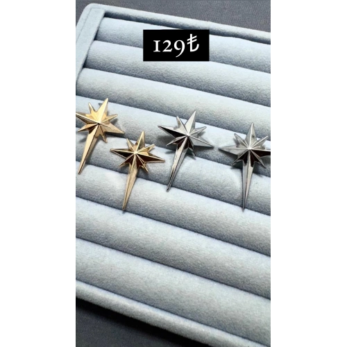 Kutup Yıldızı Küpe